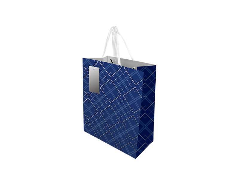 Father's Day Large Gift Bag