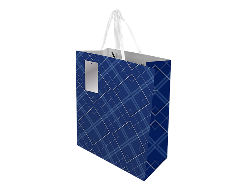 Father's Day Medium Gift Bag