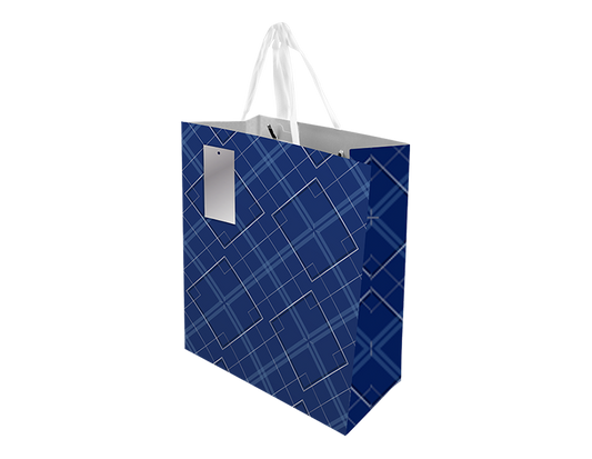 Father's Day Medium Gift Bag