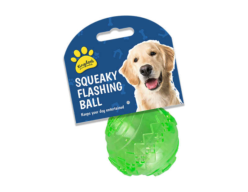 Flashing and Squeaky Play Ball