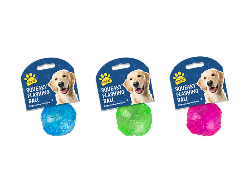 Flashing and Squeaky Play Ball