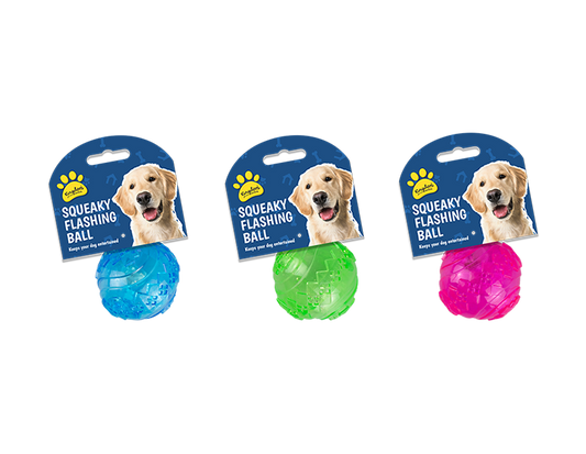 Flashing and Squeaky Play Ball