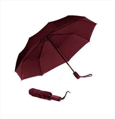 Folding Umbrella with Umbrella Cover 30 cm Assorted Colours