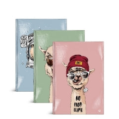 Fun Llama A5 Hardback Notebook