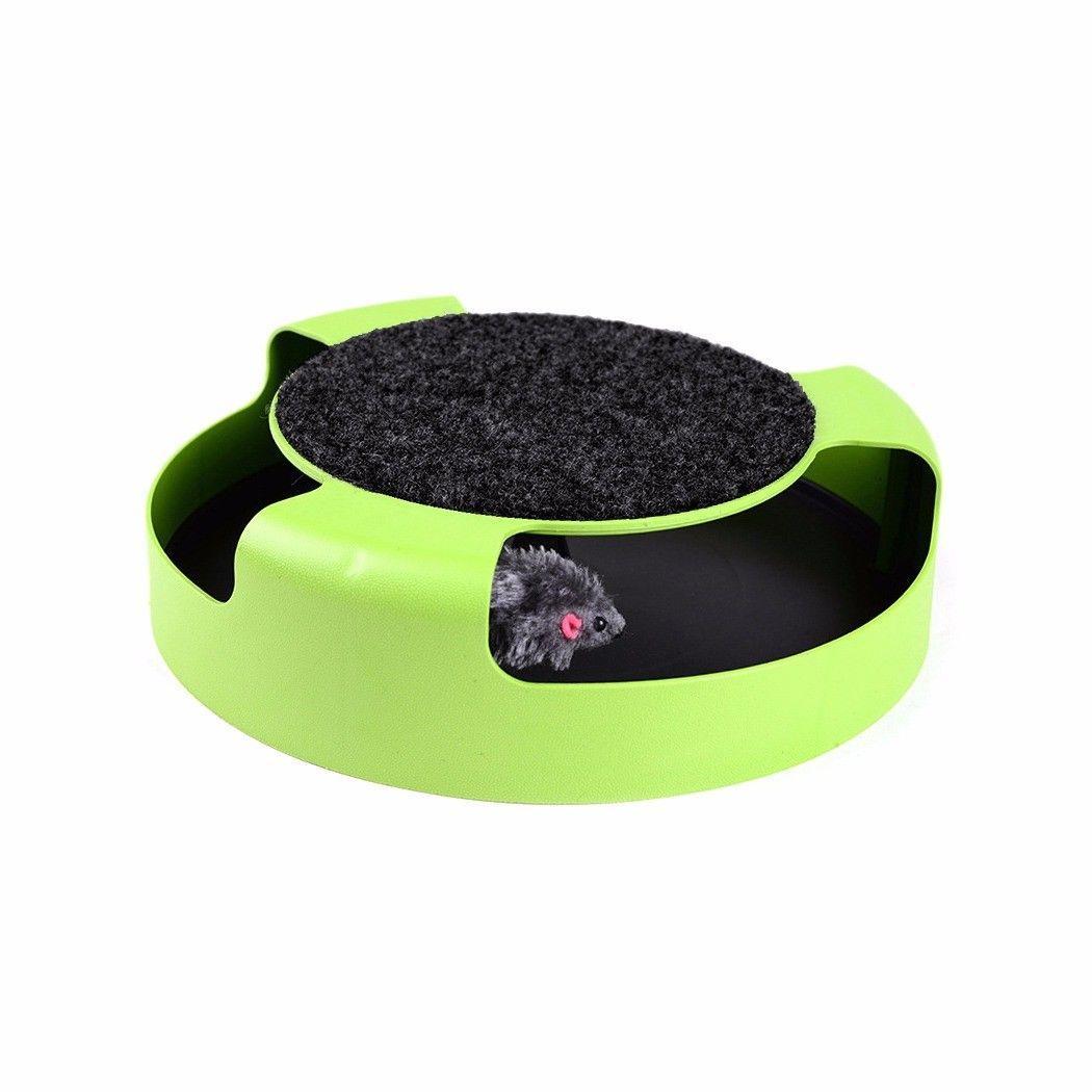 Indoor Catch The Mouse Game For Cats Kittens Home