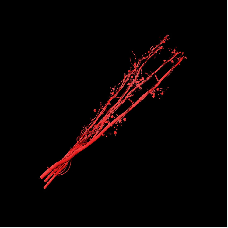 LED Christmas Twigs 57 cm
