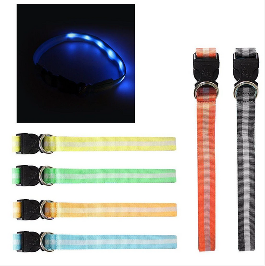 LED Light Up Dog Collar With Buckle Assorted Colours