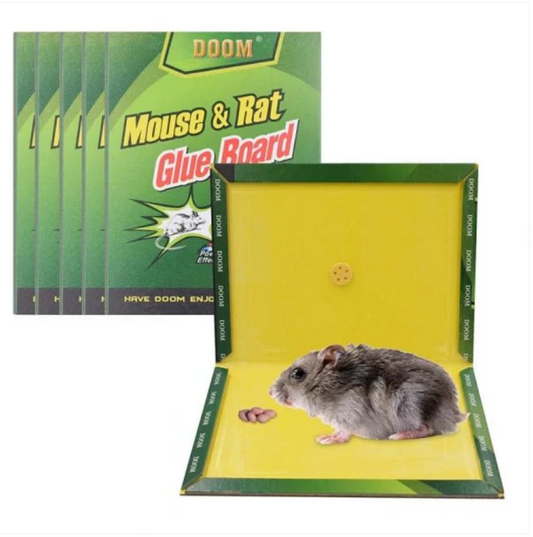 Mouse & Rat Glue Board Home Diy