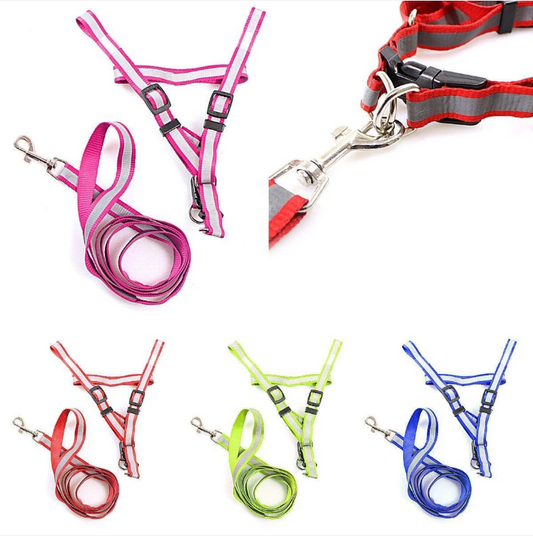 Nylon Bright Lightweight & Reflective Dog Leash With Extra Strong Harness Pet