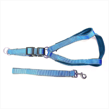 Nylon Bright Lightweight & Reflective Dog Leash With Extra Strong Harness Pet