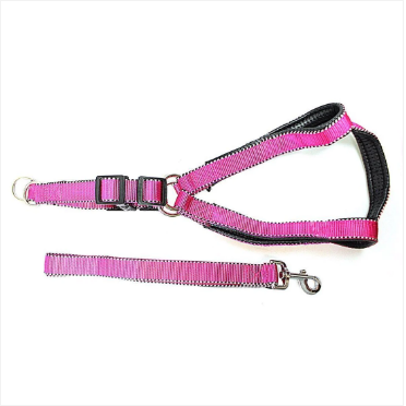 Nylon Bright Lightweight & Reflective Dog Leash With Extra Strong Harness Pet