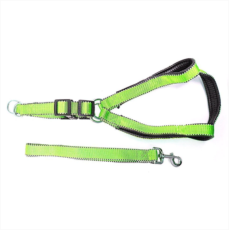 Nylon Bright Lightweight & Reflective Dog Leash With Extra Strong Harness Pet