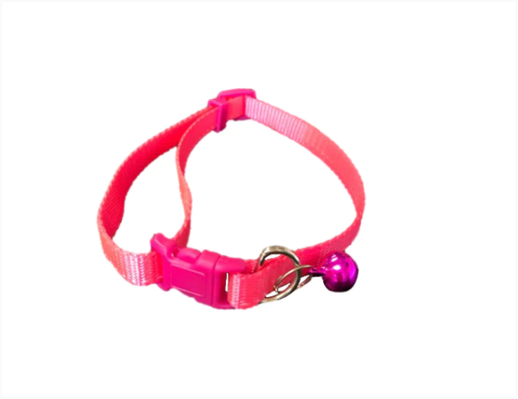 Pet Dog Cat Dollar Neon with Bell 10 cm Assorted Colours