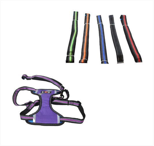 Pet Dog Leads and Harness 29 x 18 cm Assorted Colours