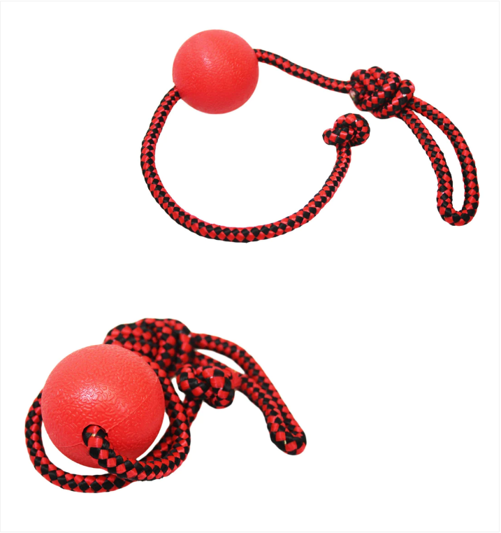 Pet Dog Toy Ball with Rope 5 / 32 cm