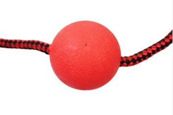 Pet Dog Toy Ball with Rope 5 / 32 cm