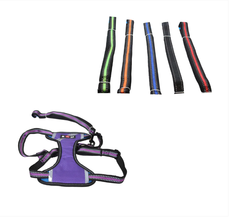 Pets Dog Outdoor Leads Lease Harness 24 x 18 cm Assorted Colours