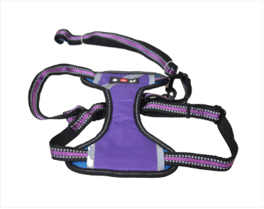 Pets Dog Outdoor Leads Lease Harness 24 x 18 cm Assorted Colours