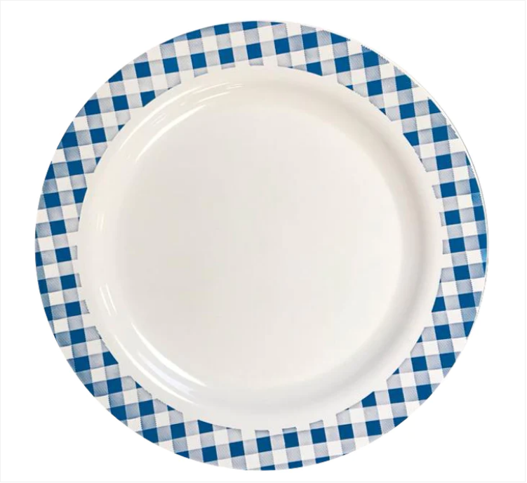 Plastic Plate with Printed Blue Border Design 24 cm