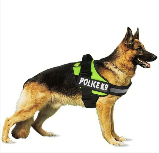 Police K9 Dog Harness Multi Colours Dog Harness Large Assorted Colours