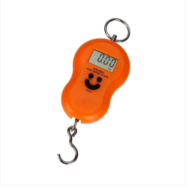 Portable Weighing Scale Electronic Scale Digital 50kg x 10kg Plastic 11.5 x 6.5cm