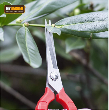 Precision Secateurs Garden Outdoors