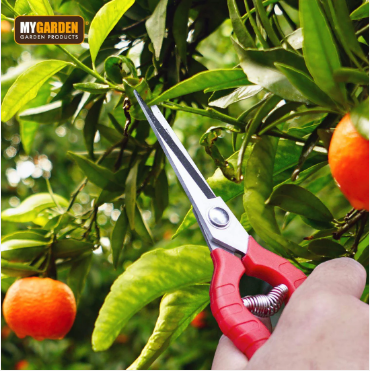 Precision Secateurs Garden Outdoors