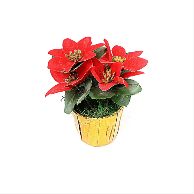 Small Plastic Christmas Poinsettia Flower Pot