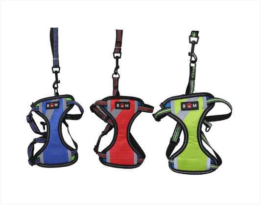 Small Size Dog Harness With Leash High Quality Straps Assorted Colours x 1