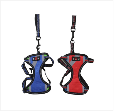 Small Size Dog Harness With Leash High Quality Straps Assorted Colours x 1