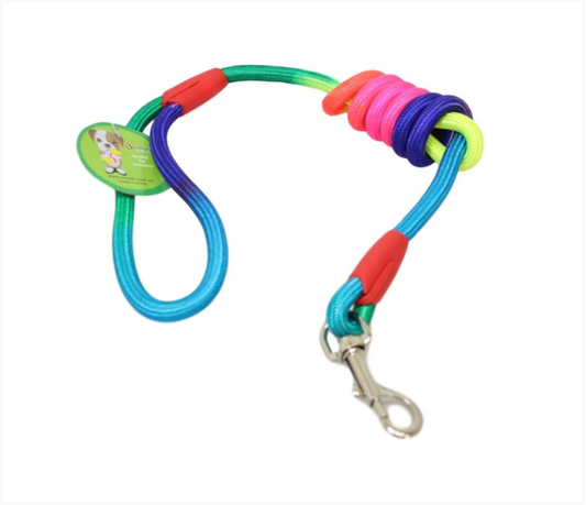 Strong Nylon Pet Dog Rope Lead Rainbow Colour 1.25m