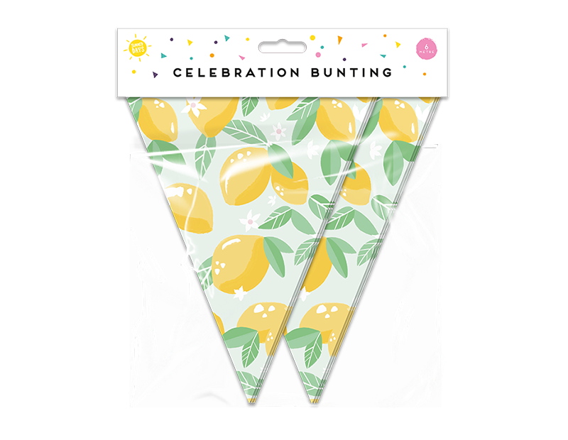 Summer Party Fruit Bunting 15 Flags