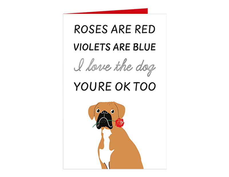 Valentine's Day Cards in FSDU