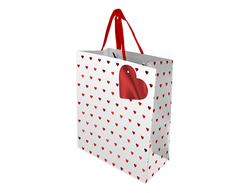 Valentine's Day Large Gift Bag