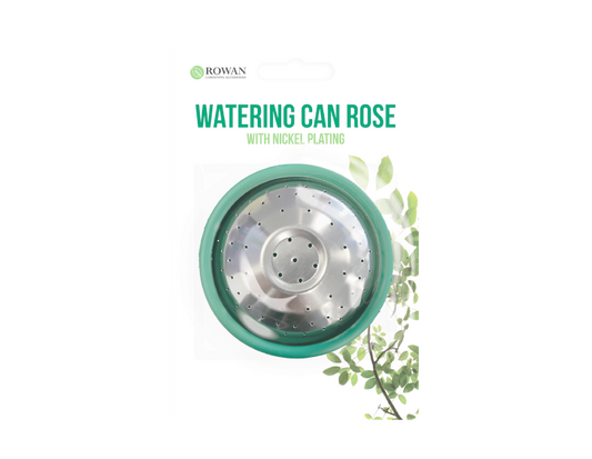 Watering Can Rose 1PK